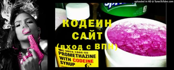 тгк Абаза