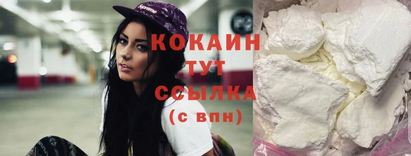 тгк Абаза