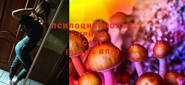 тгк Абаза
